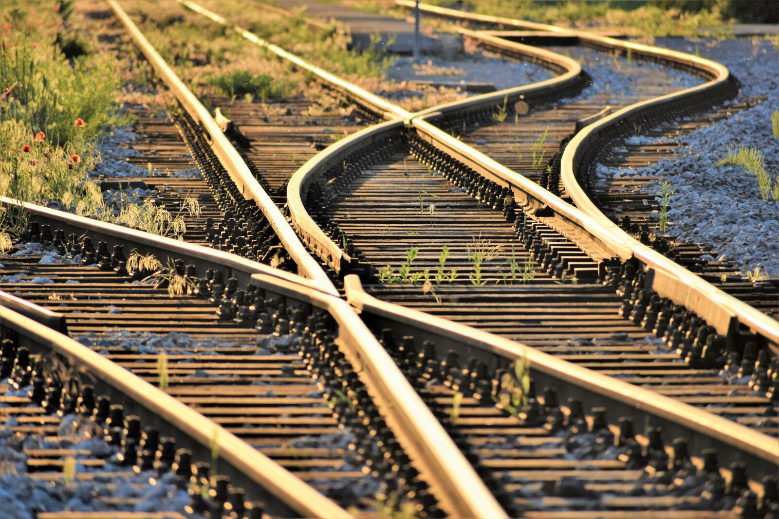 Nikon D3300 sample photo. Railway, sunset, golden hour photography
