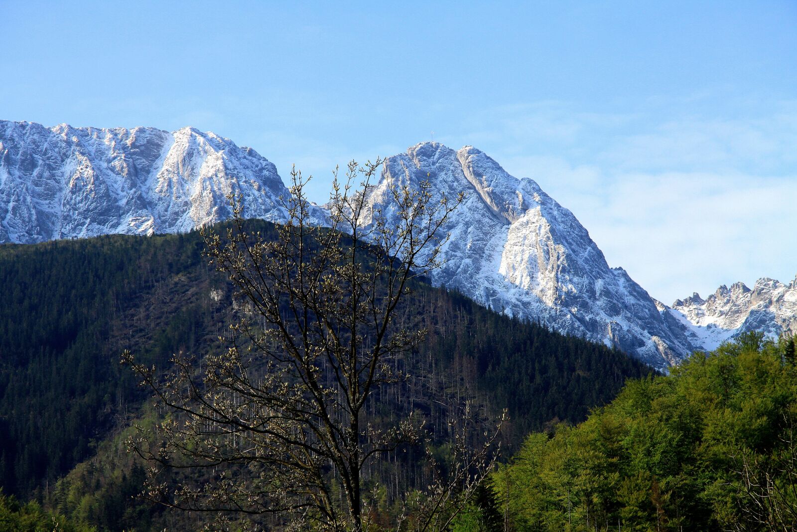 Canon EOS 50D sample photo. Buried, giewont, tatry photography
