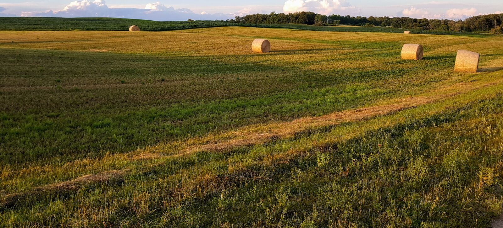 Samsung Galaxy S6 sample photo. Hay bales, harvest, field photography