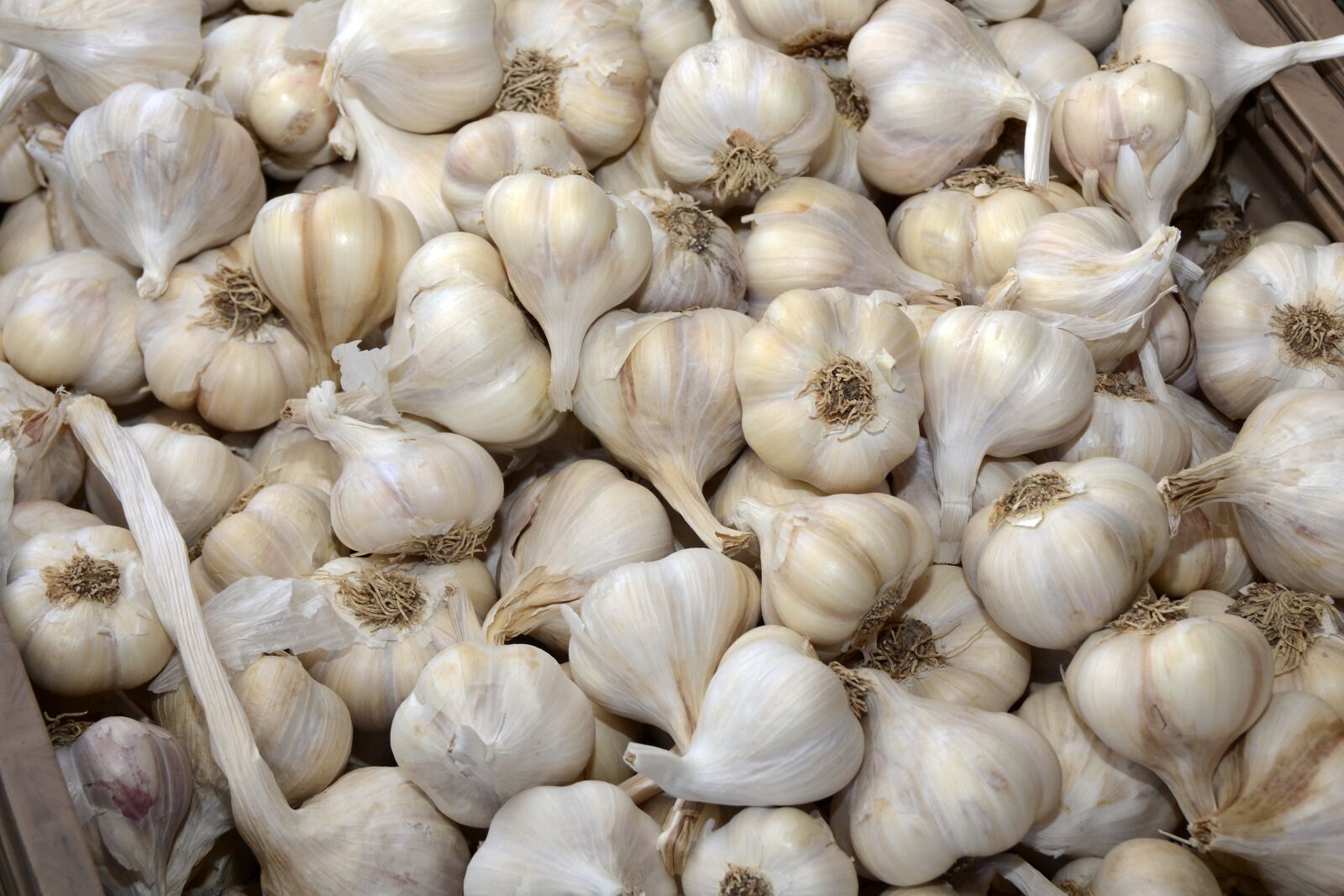Nikon D7100 sample photo. Garlic, vegetables, food photography