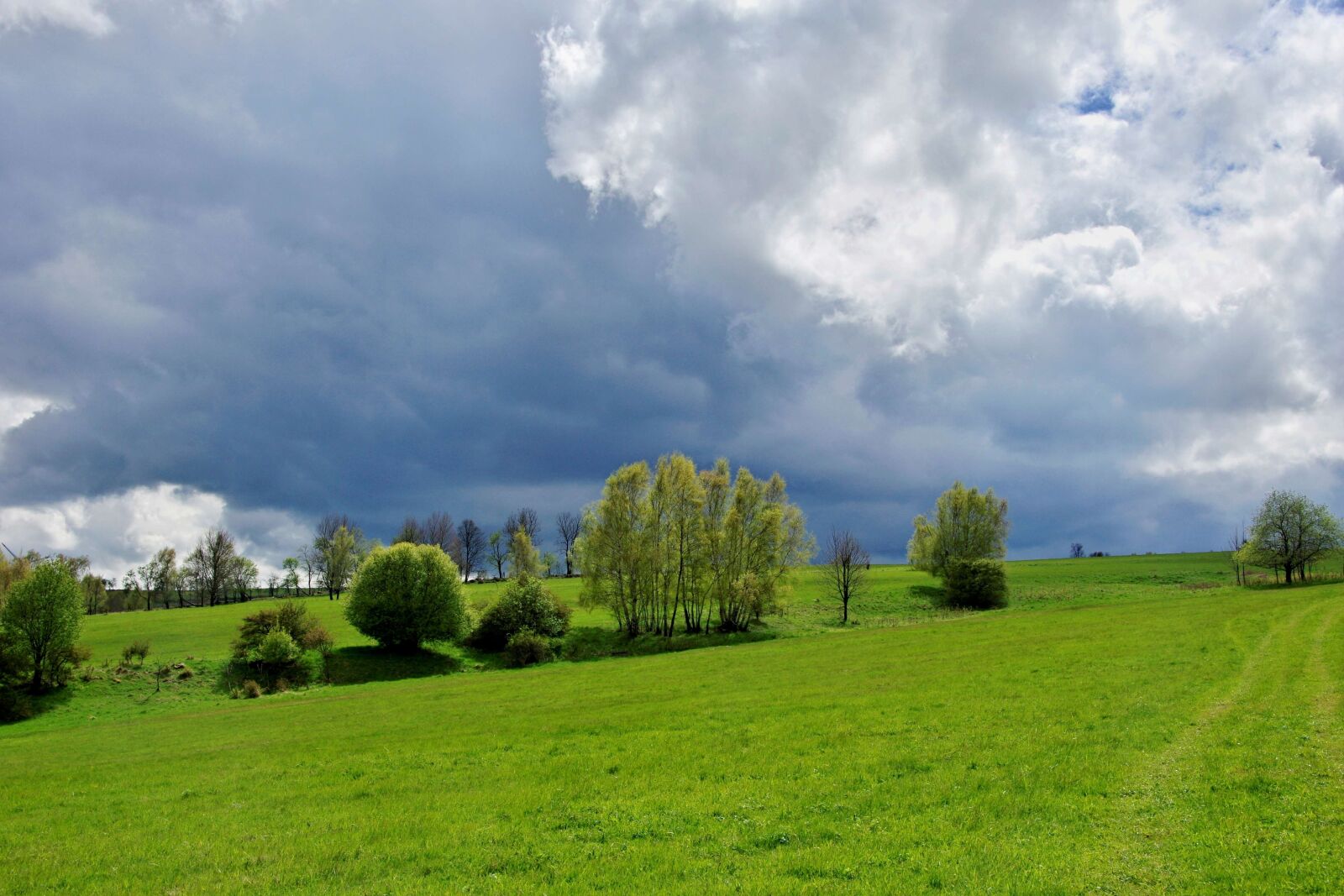 Pentax K-3 sample photo. Nature, landscape, petrovice photography