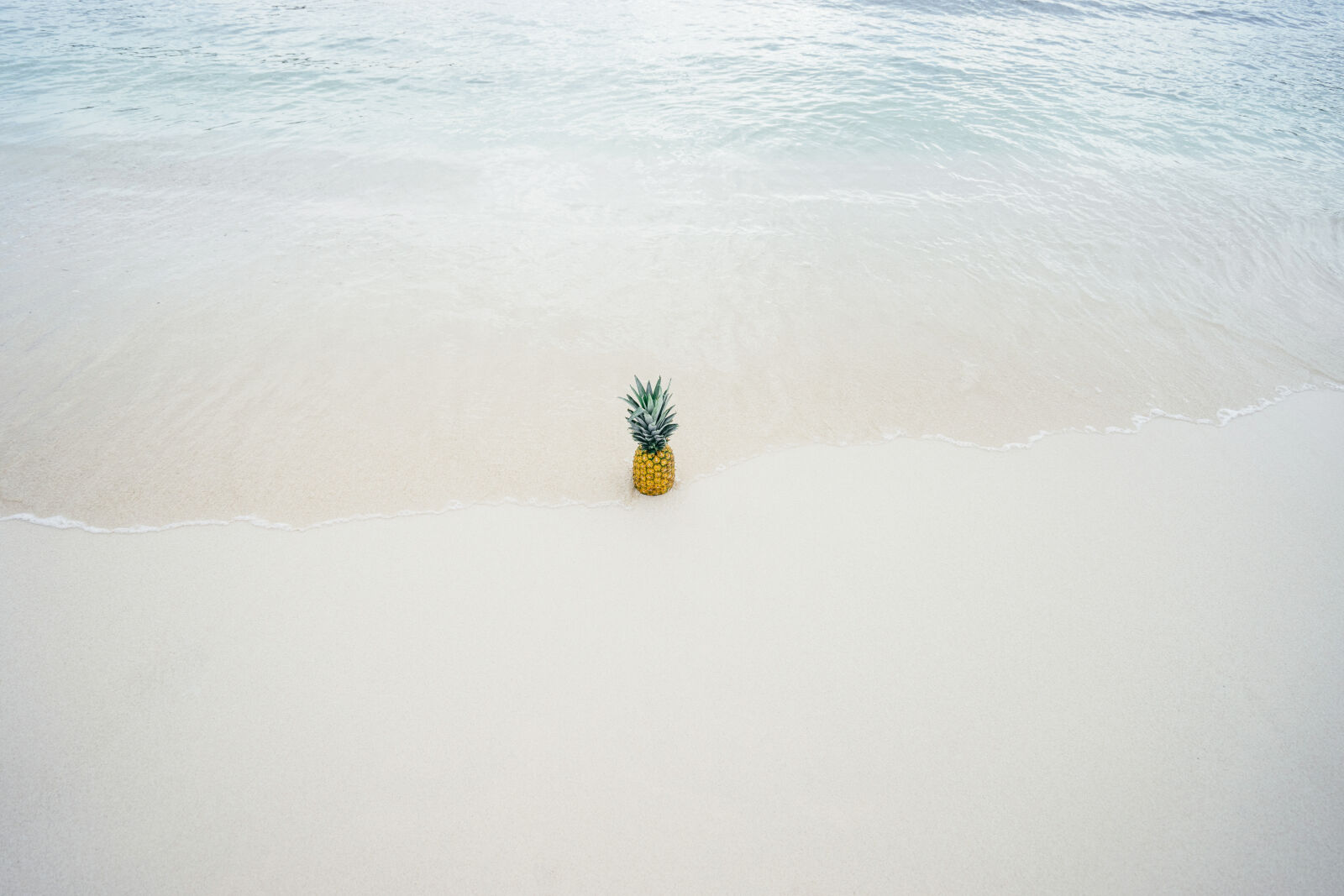Sony a7 II + Sony Vario-Tessar T* FE 16-35mm F4 ZA OSS sample photo. Pineapple, in, the, middle photography