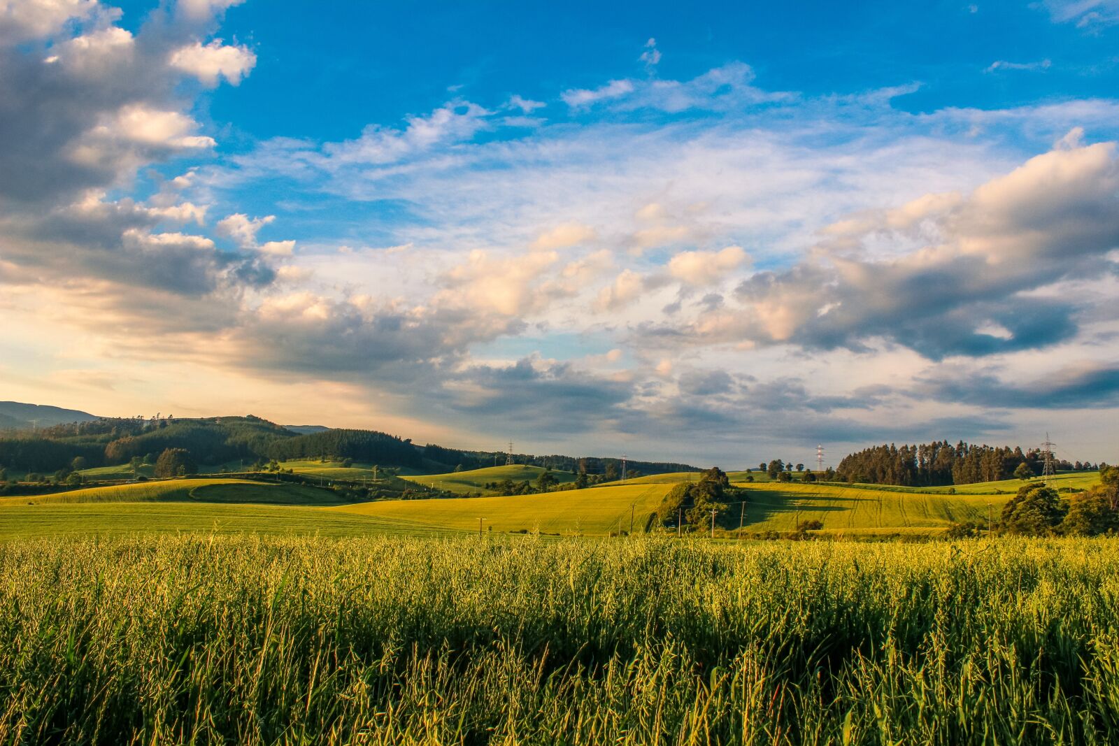Canon EOS 600D (Rebel EOS T3i / EOS Kiss X5) sample photo. Landscape, sky, grass photography