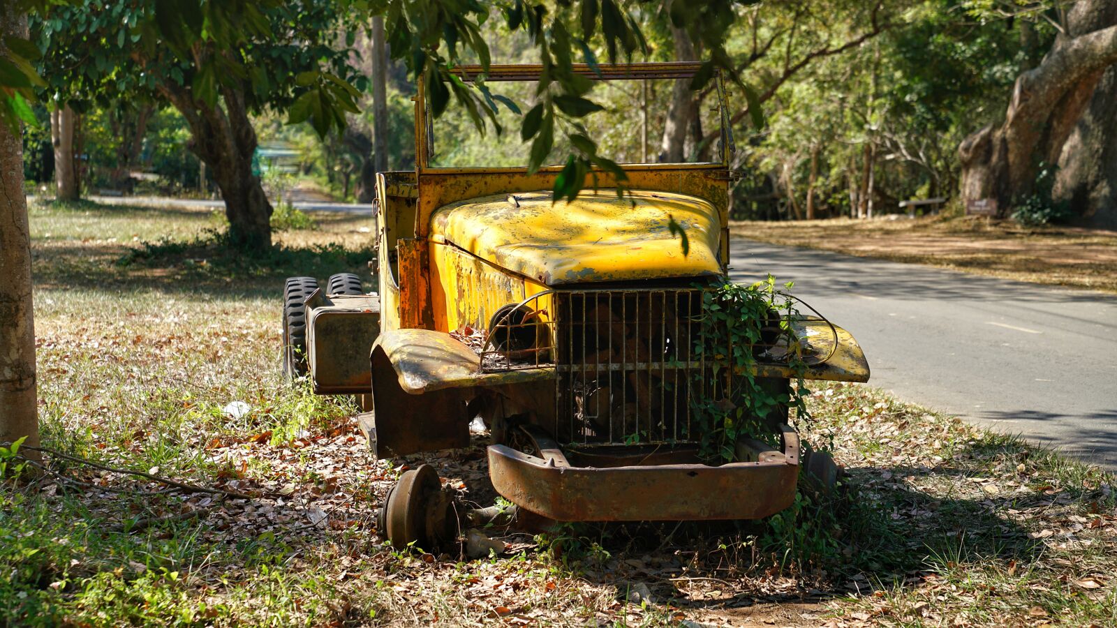 Sony a7R II + Sony FE 24-70mm F2.8 GM sample photo. Old, abandoned, truck photography