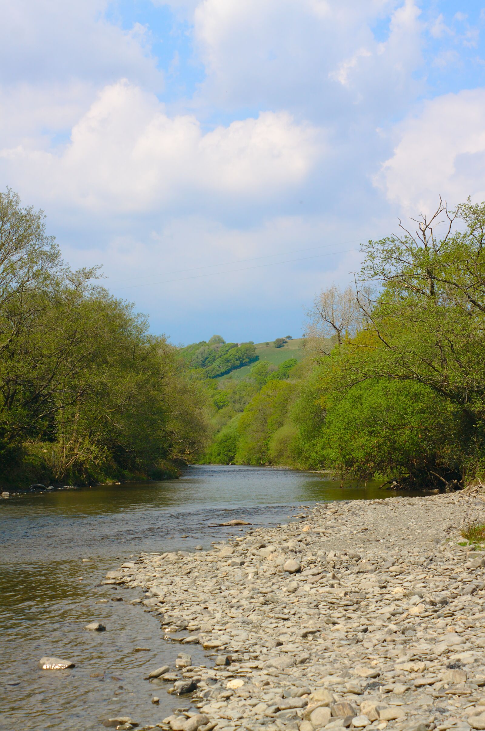 Canon EOS 50D sample photo. River, trees, sky photography