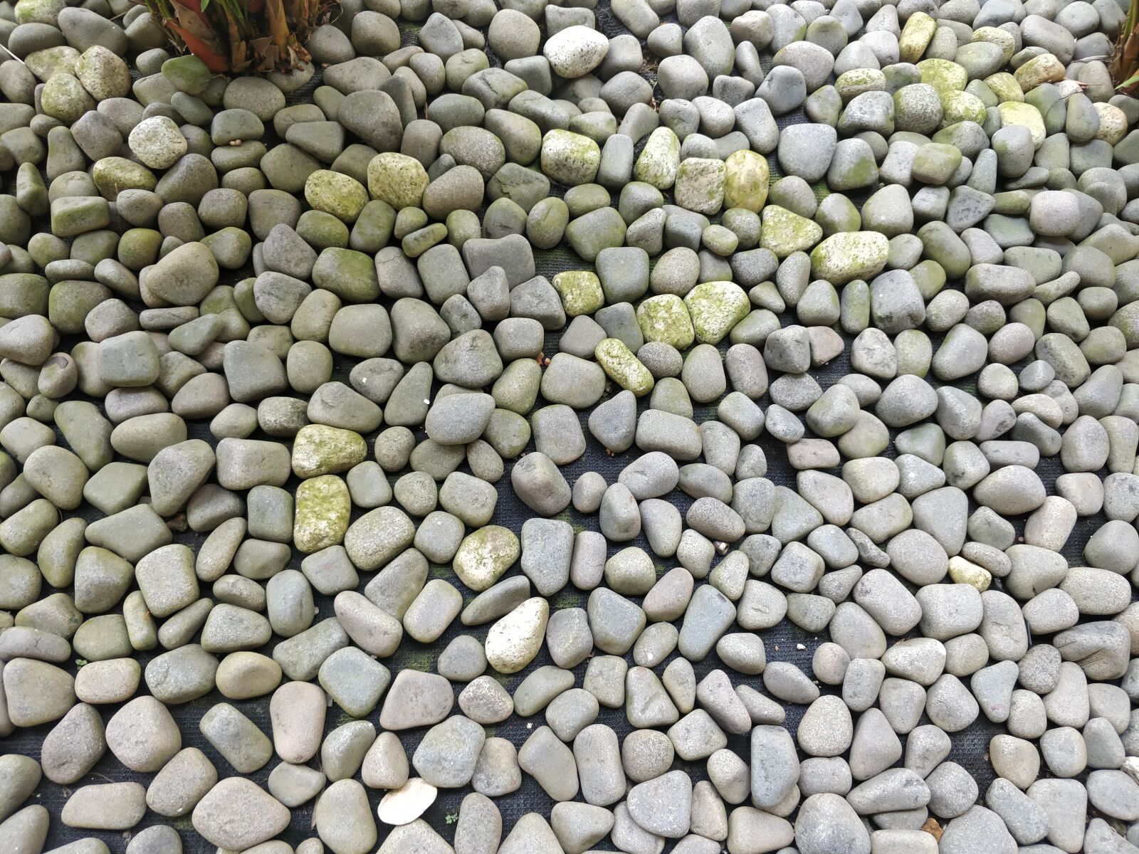 OnePlus 5T sample photo. Stone, rock, pebble photography