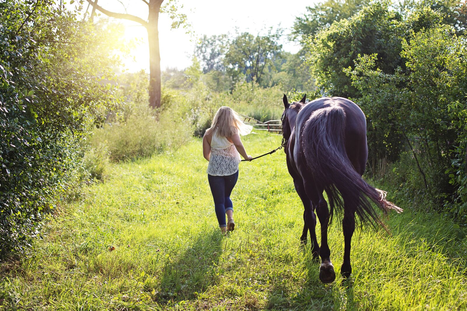 Canon EF 50mm F1.4 USM sample photo. Woman with horse, horse photography