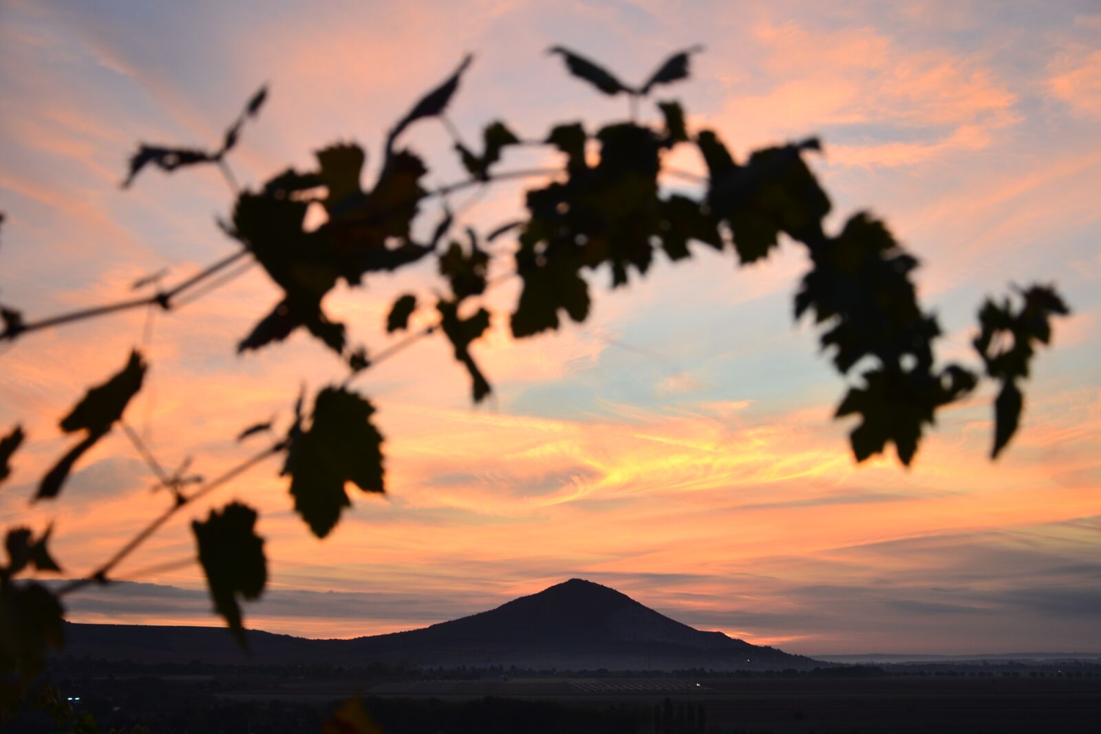 Nikon D3100 sample photo. Autumn, hungary, baranya photography