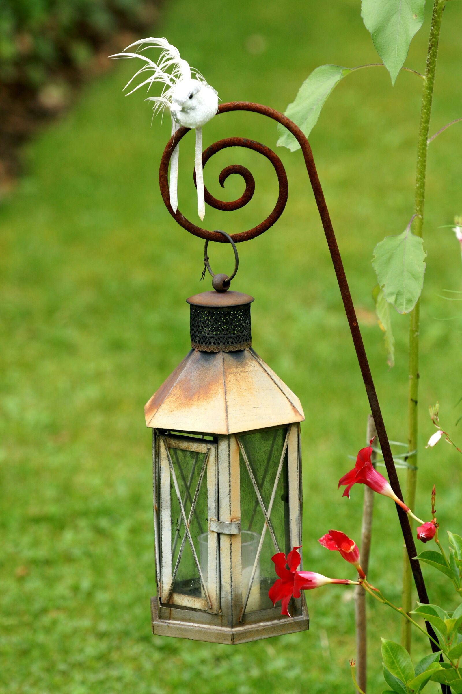 Sony Alpha DSLR-A700 sample photo. Lantern, light, lighting photography