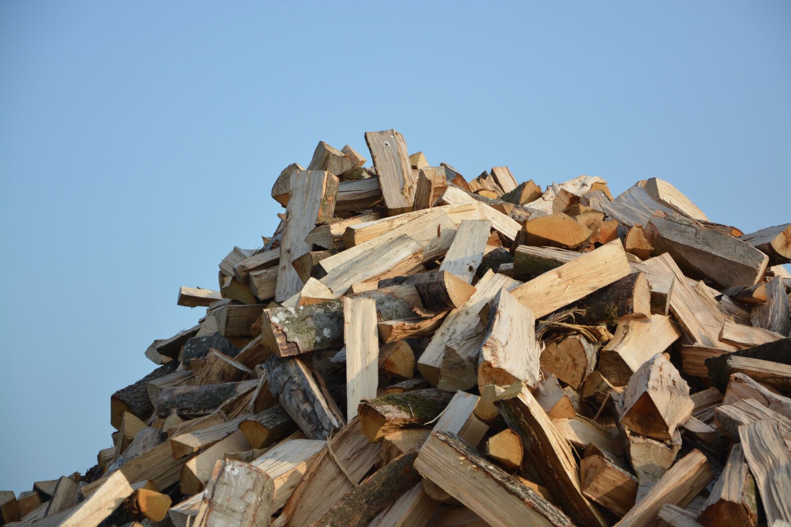 Nikon D5200 sample photo. Logs wood, cut wood photography