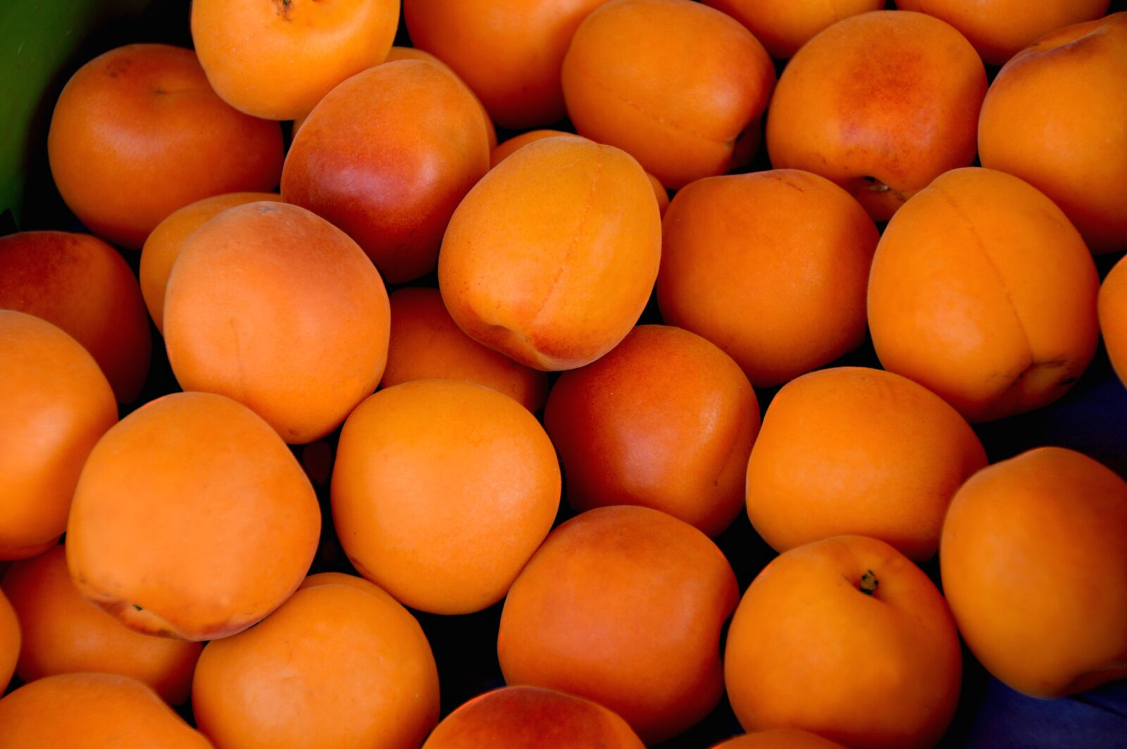 Nikon D3200 sample photo. Apricots, fruits, delicious photography