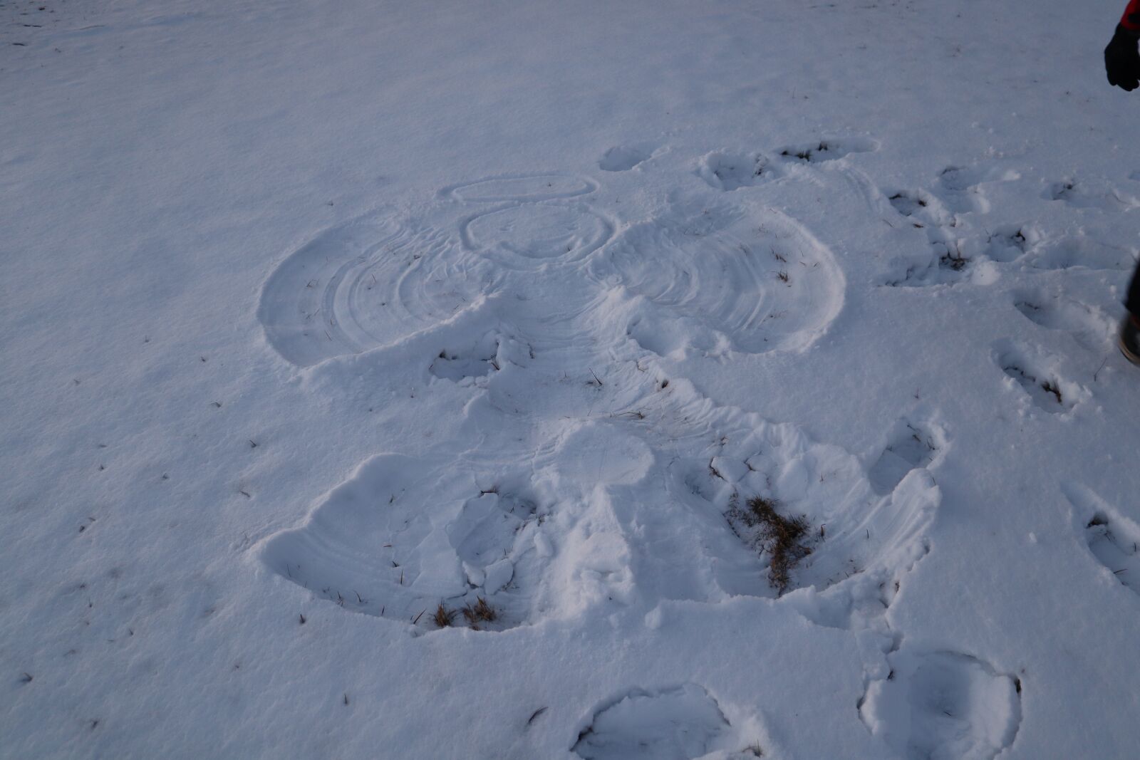 Canon EOS M50 (EOS Kiss M) sample photo. Snow angel, cold, winter photography