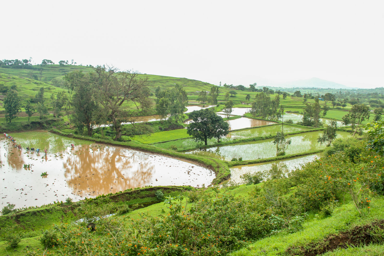 Canon EF-S 18-135mm F3.5-5.6 IS sample photo. Farm, farming, mountain, farm photography