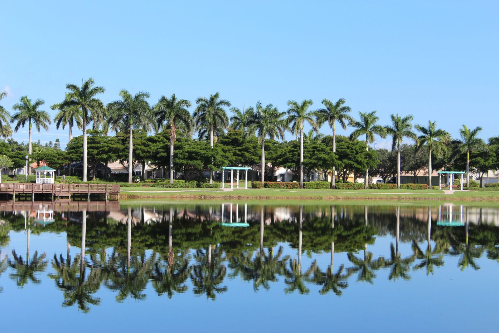 Canon EOS 1300D (EOS Rebel T6 / EOS Kiss X80) sample photo. Nature, palmas, lake photography