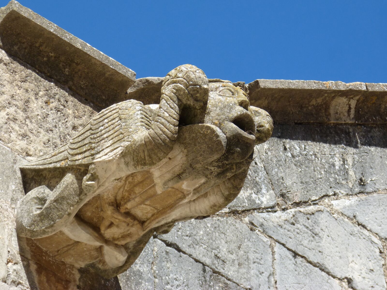 Panasonic DMC-FZ62 sample photo. Gargoyle, sculpture, gothic architecture photography
