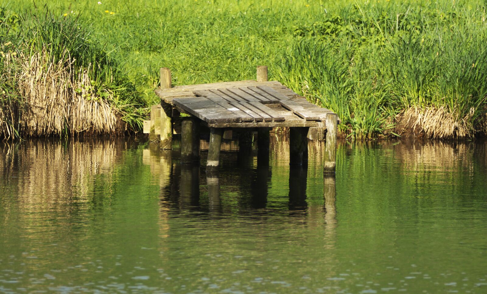 Panasonic Lumix DMC-FZ1000 sample photo. Web, waters, nature photography