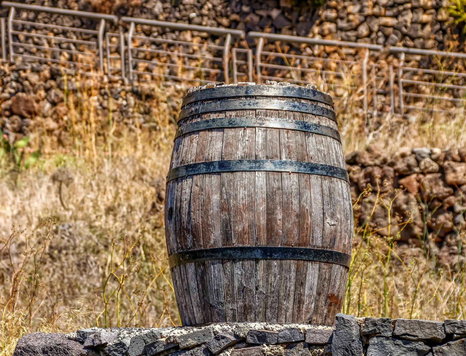 Canon EOS 650D (EOS Rebel T4i / EOS Kiss X6i) sample photo. Barrel, wooden barrels, wine photography