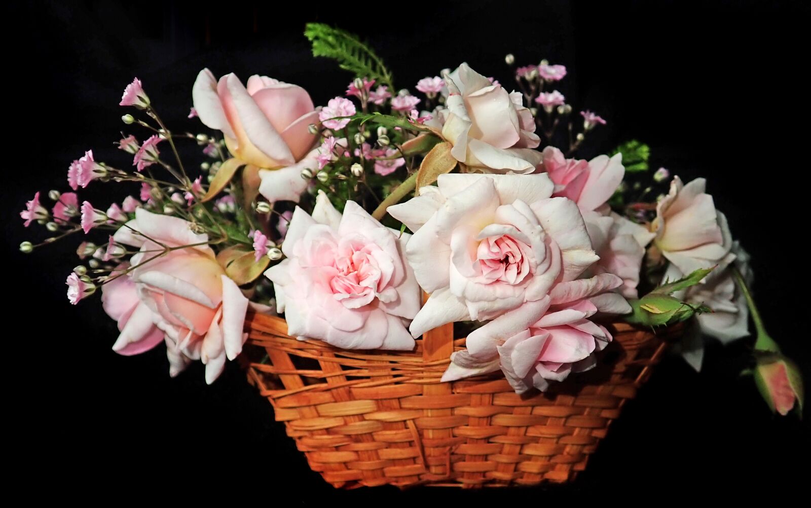 Olympus TG-5 sample photo. Roses, pink, flowers photography