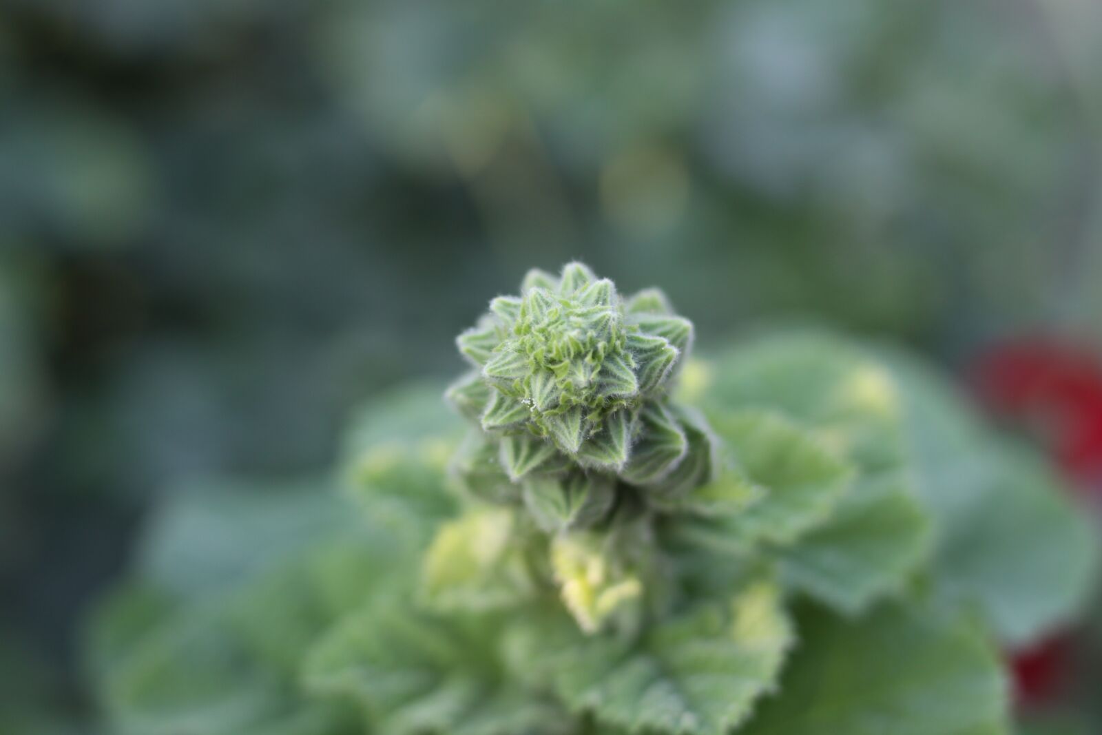Canon EOS 50D sample photo. Figure, along the way photography