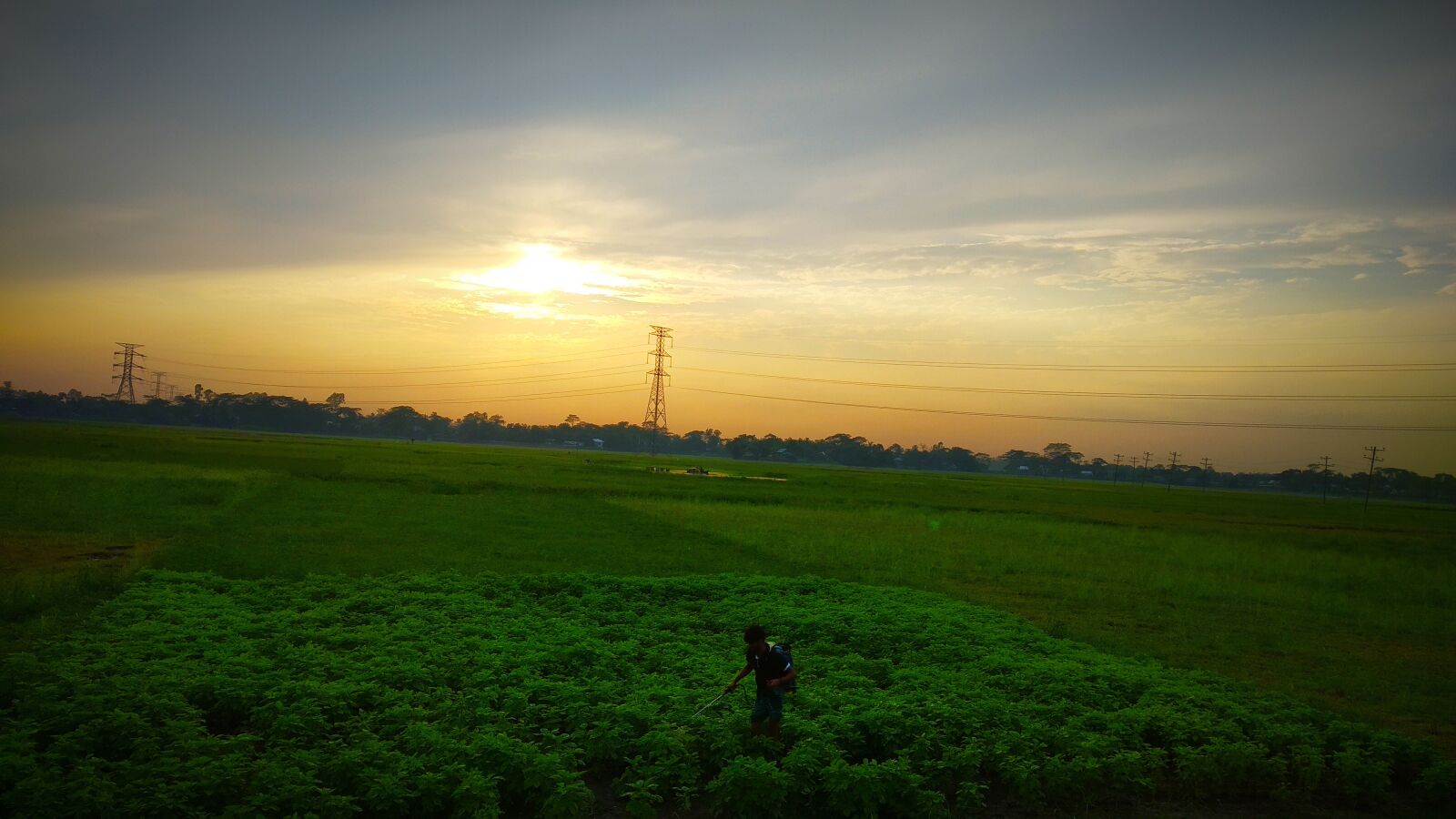 Xiaomi Redmi S2 sample photo. Nature, sunset, farming photography