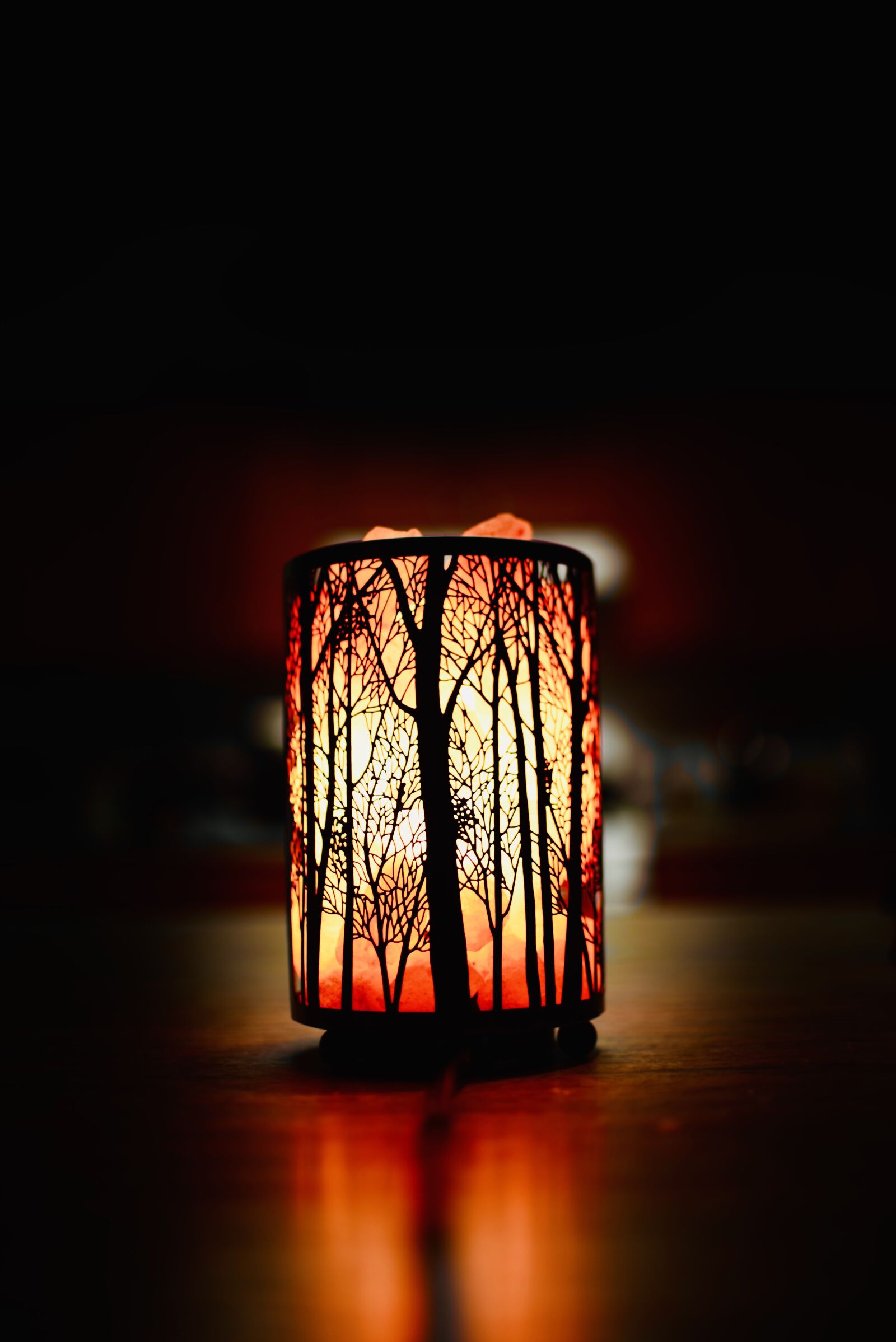 Nikon D750 sample photo. Lamp, lights, lighting photography