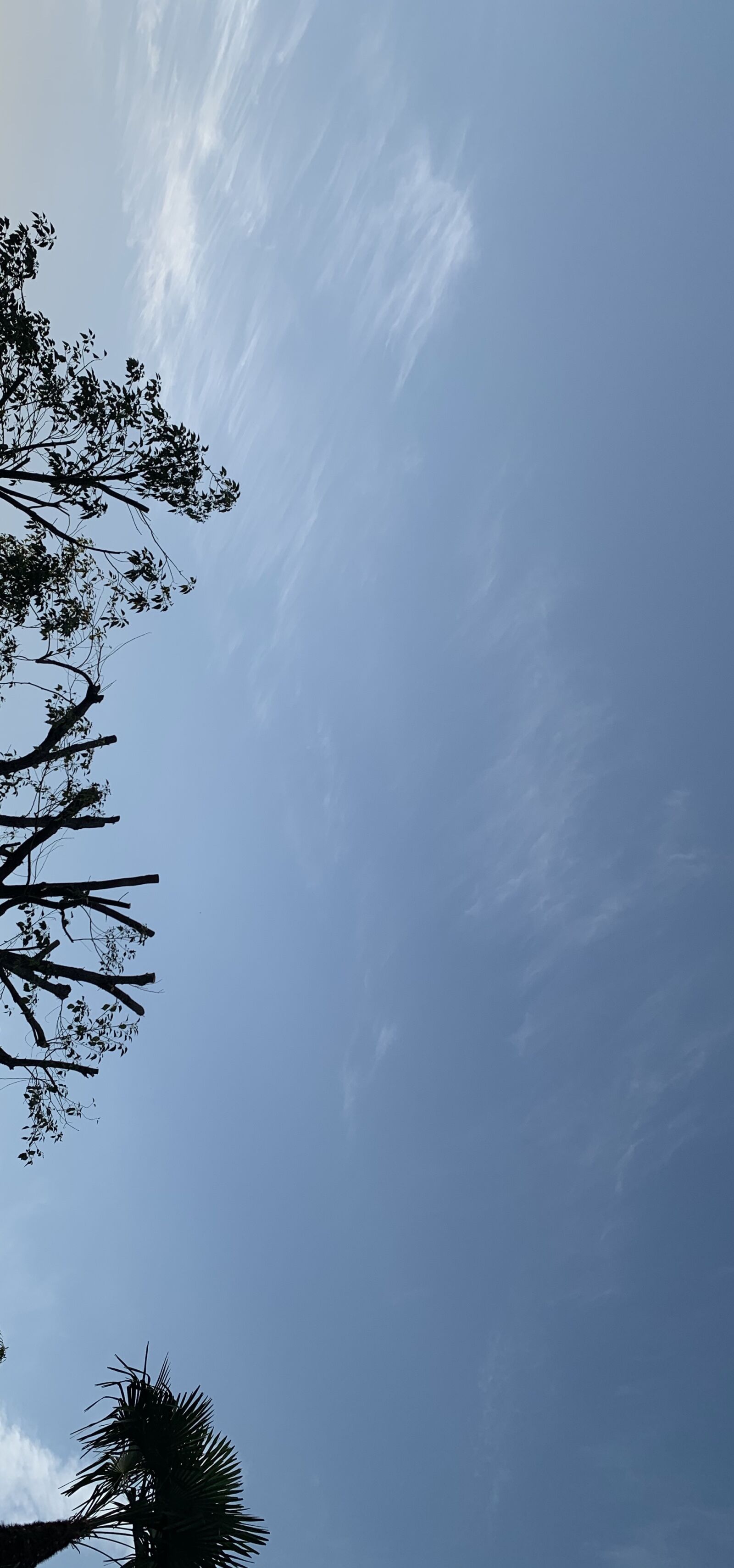 iPhone XS Max back dual camera 4.25mm f/1.8 sample photo. Sky, blue, beautiful photography