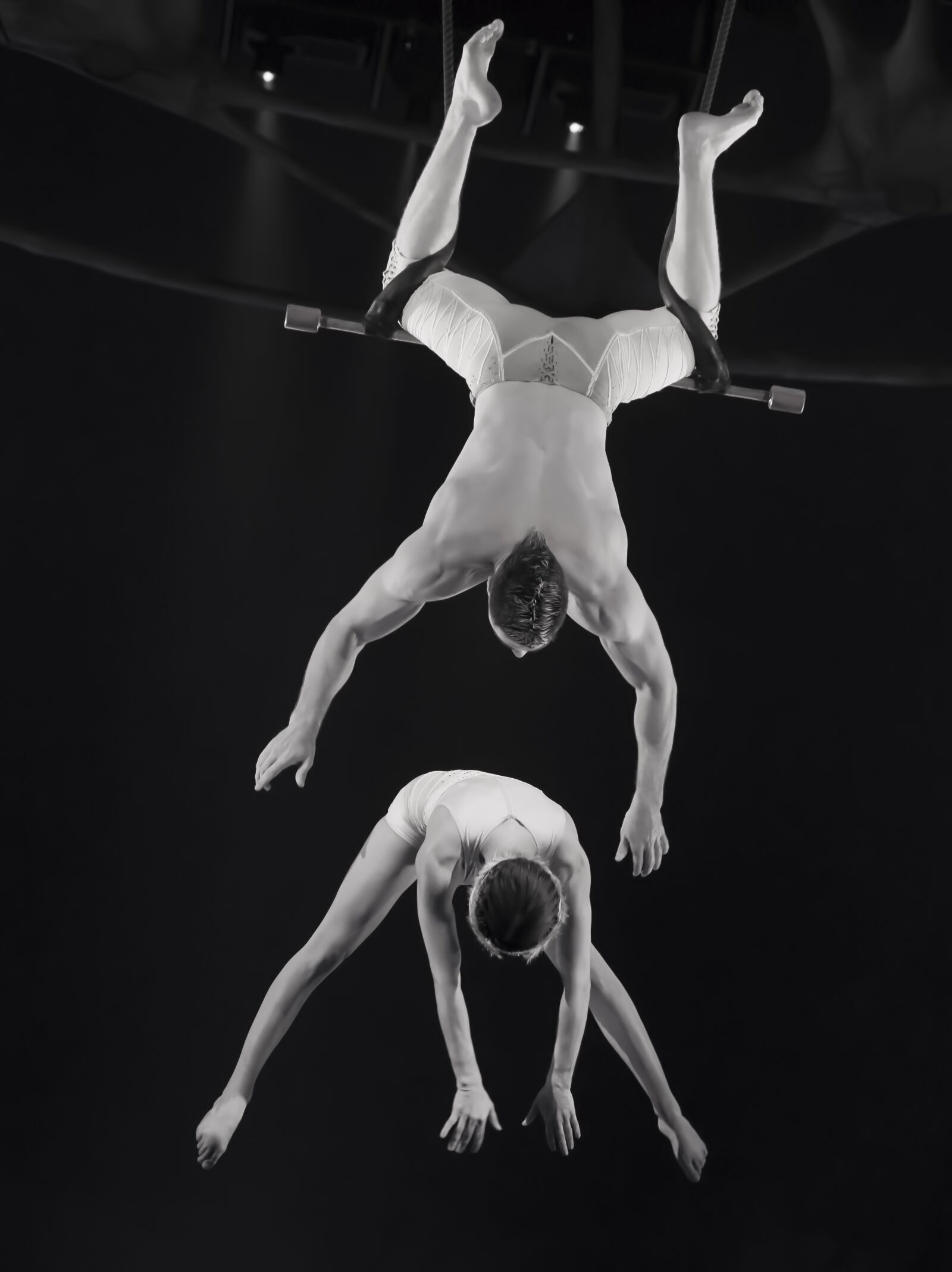 Nikon D800 sample photo. Trapeze, circus, man photography