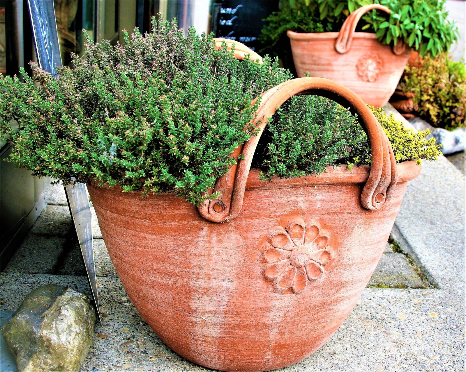 Canon EOS 400D (EOS Digital Rebel XTi / EOS Kiss Digital X) sample photo. Flower pot, clay, basket photography