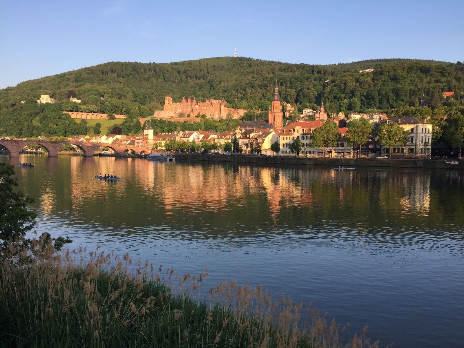 Apple iPhone 6 sample photo. Heidelberg, neckar, old bridge photography