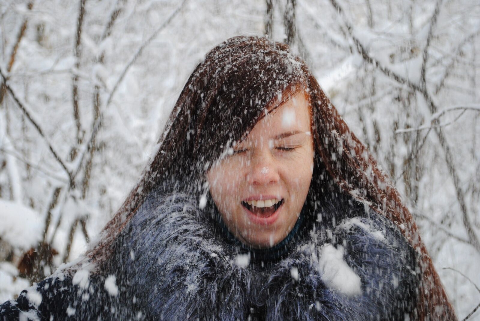 Nikon D3000 sample photo. Winter, coldly, snow photography