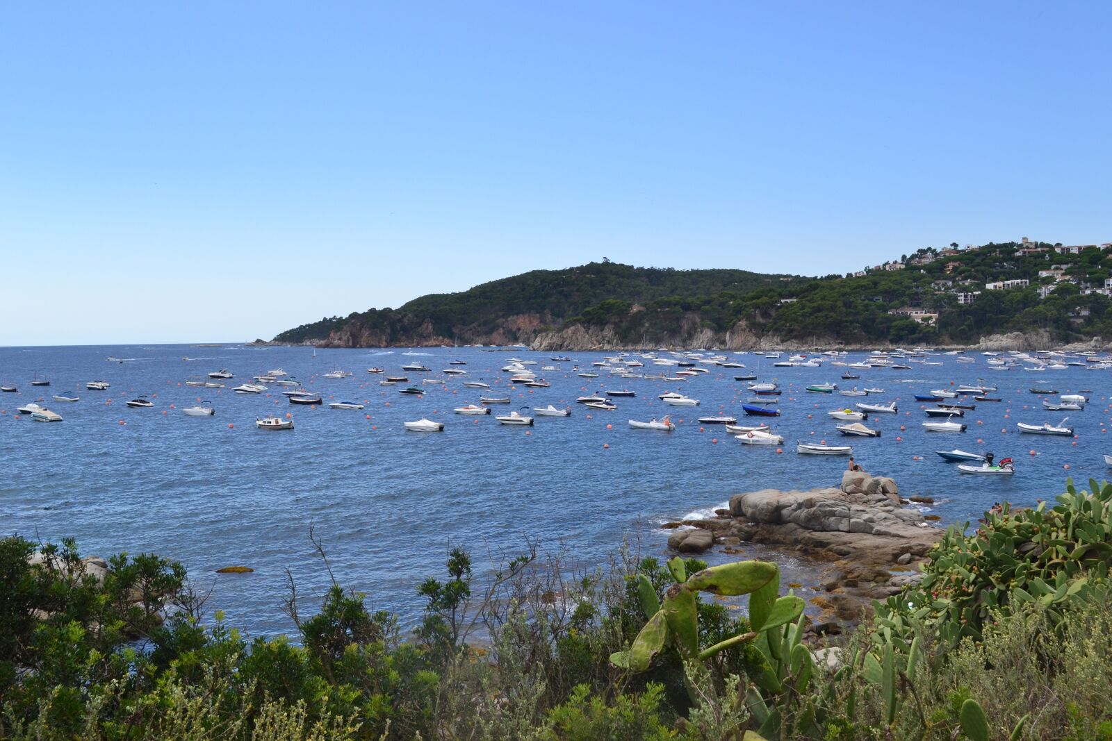 Nikon D3100 sample photo. Sea, side, boats photography