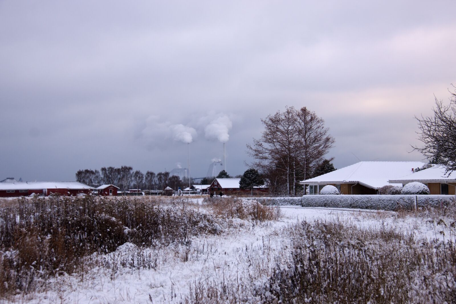 Canon EOS 50D sample photo. Winter landscape, winter, snow photography