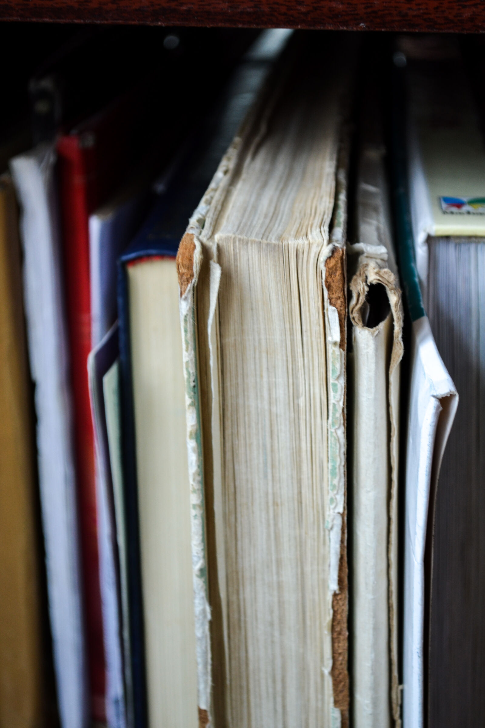 Nikon D3100 sample photo. Closeup, photo, of, book photography