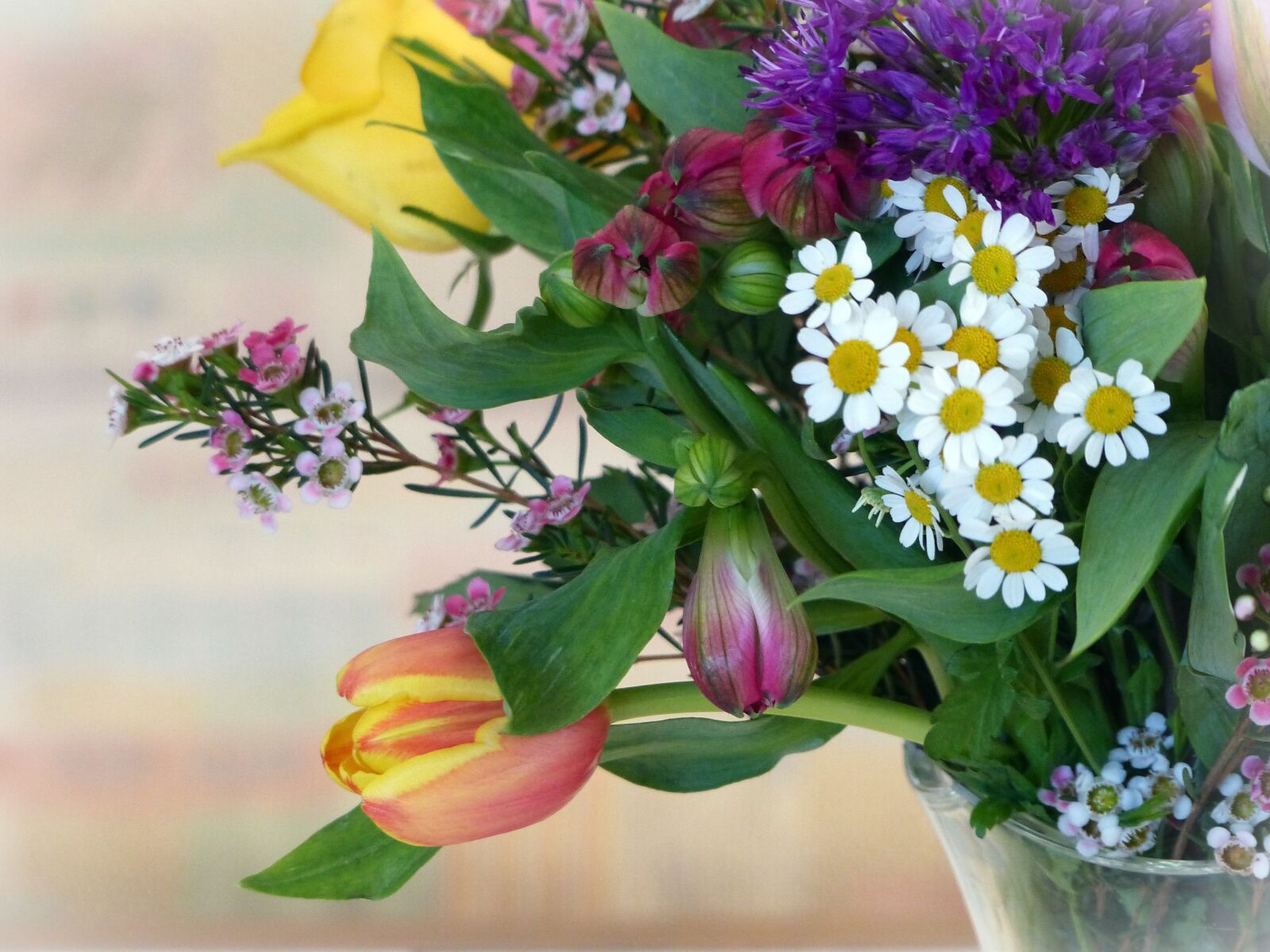 Panasonic Lumix DMC-FZ200 sample photo. Flowers, colorful, spring photography