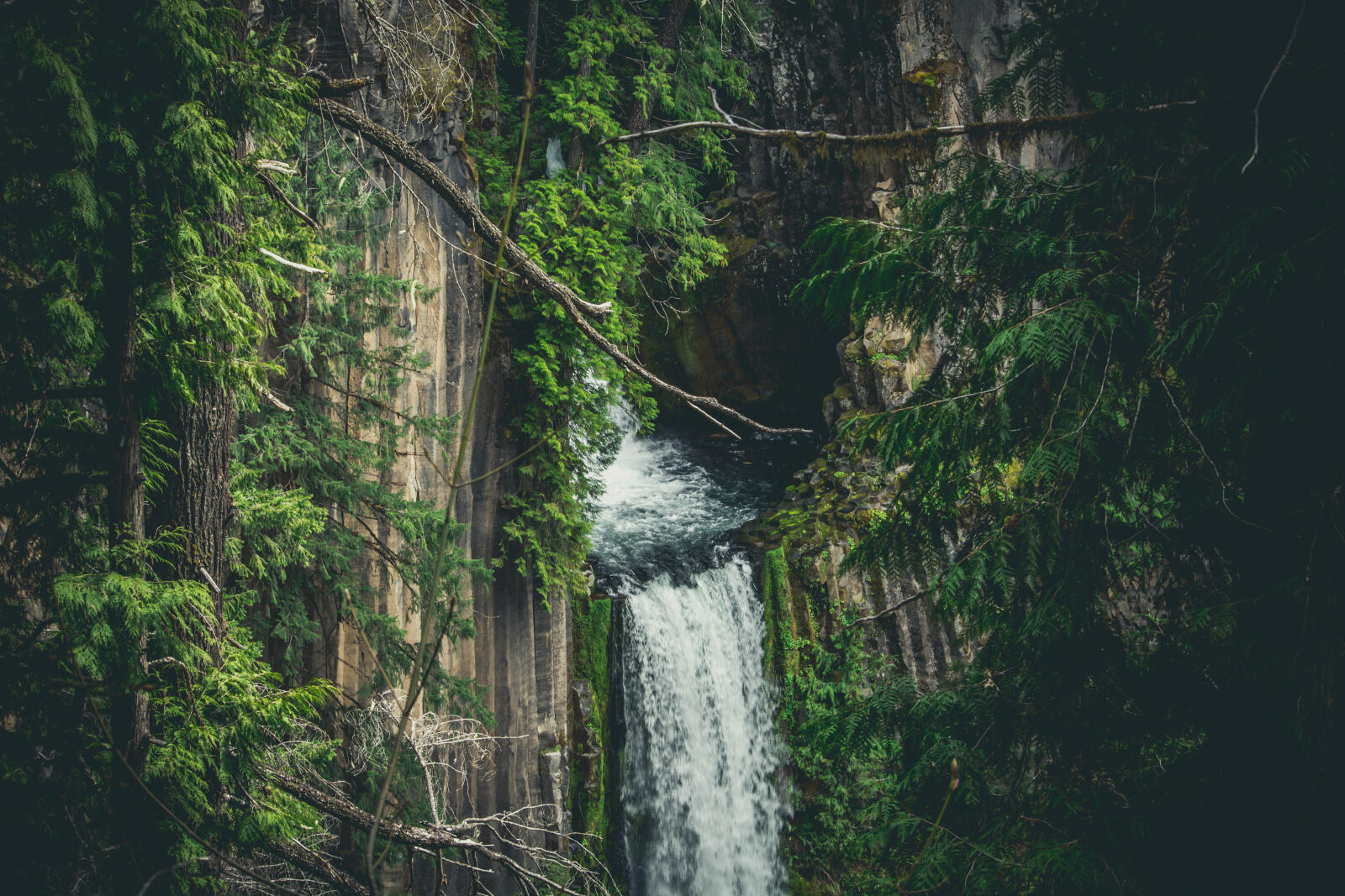 Nikon D5200 sample photo. Branches, cascade, daylight, environment photography