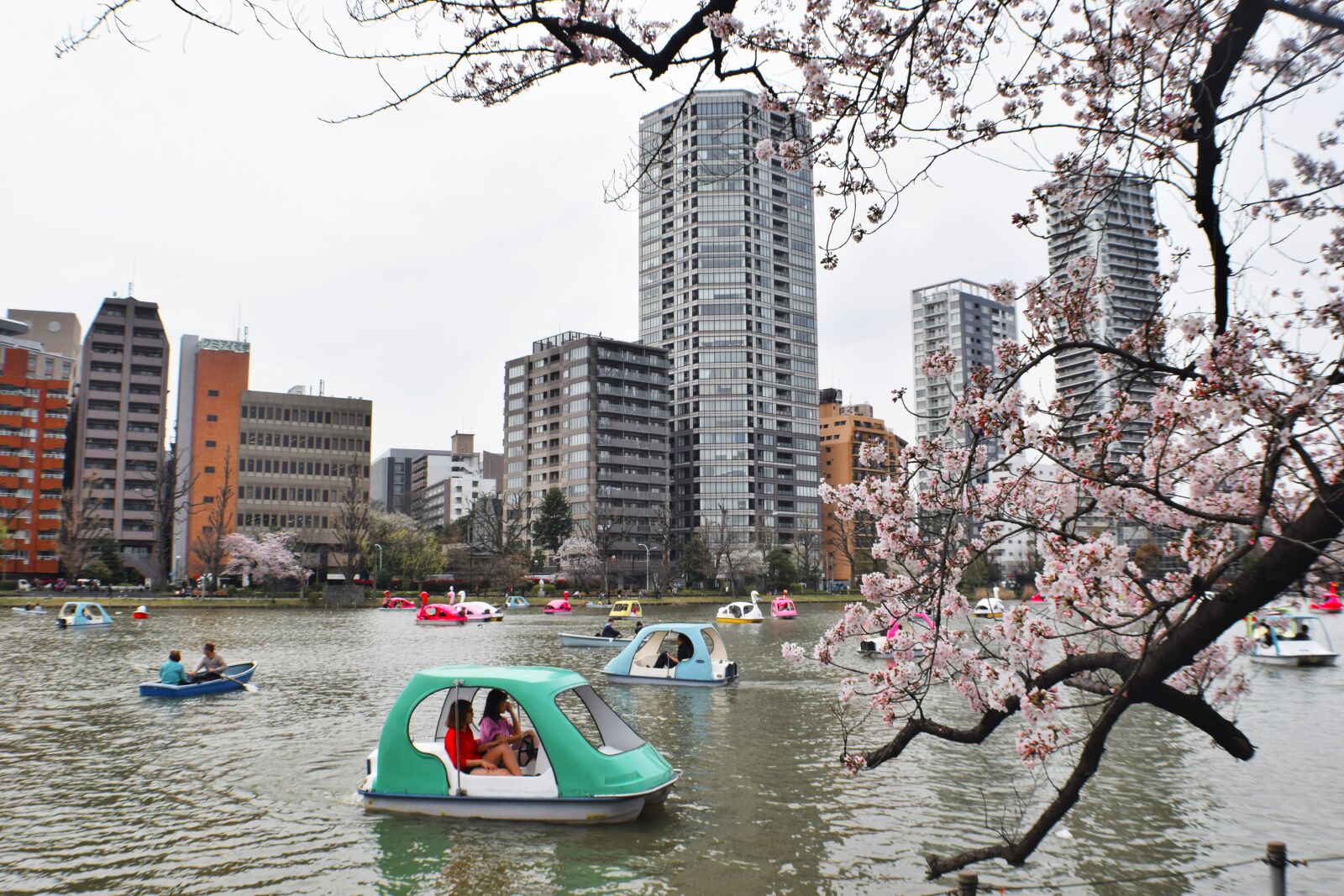 Nikon D3300 sample photo. Activity, blossom, boat, buildings photography
