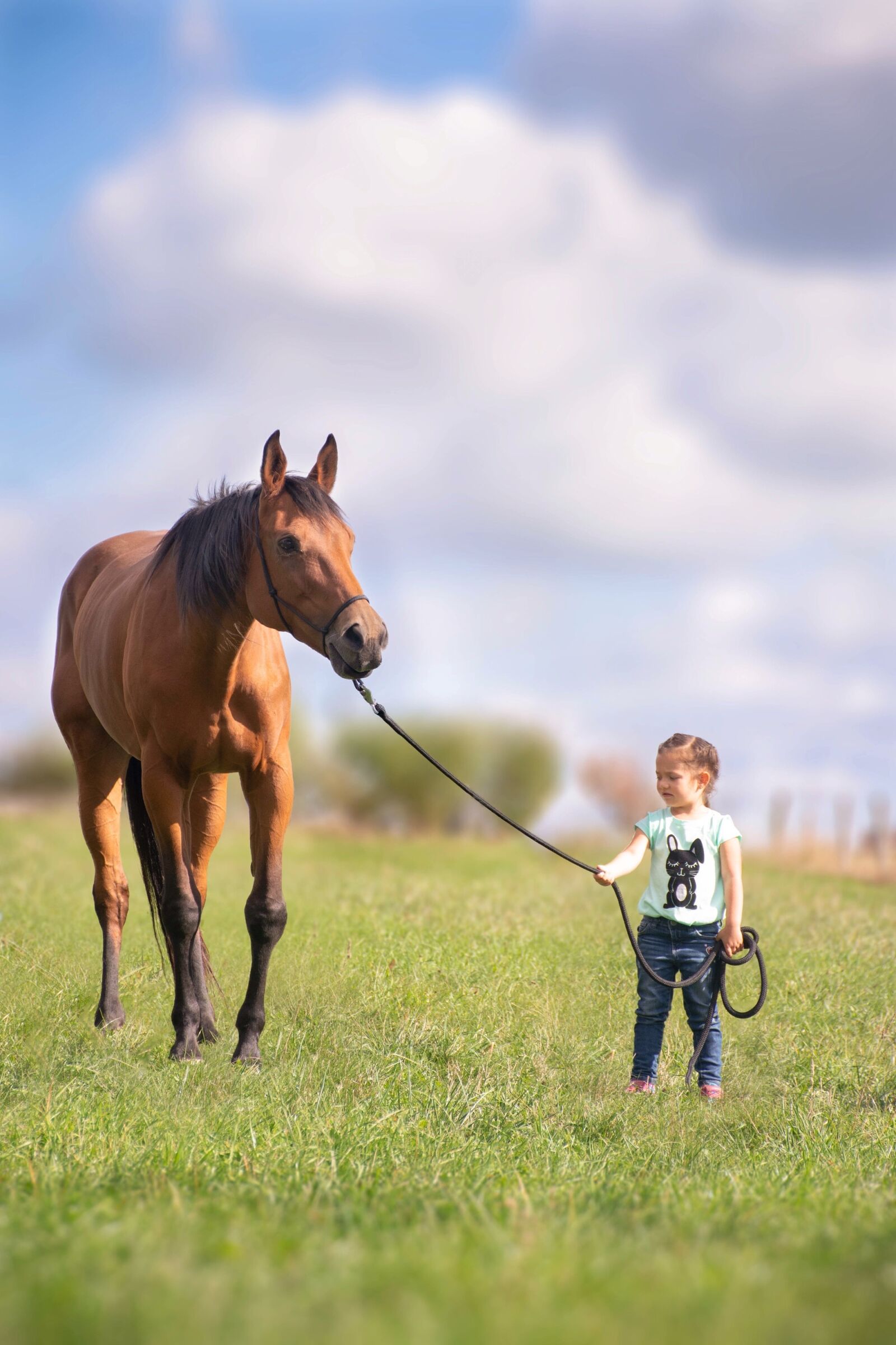 Nikon D7200 sample photo. Horse, child, meadow photography