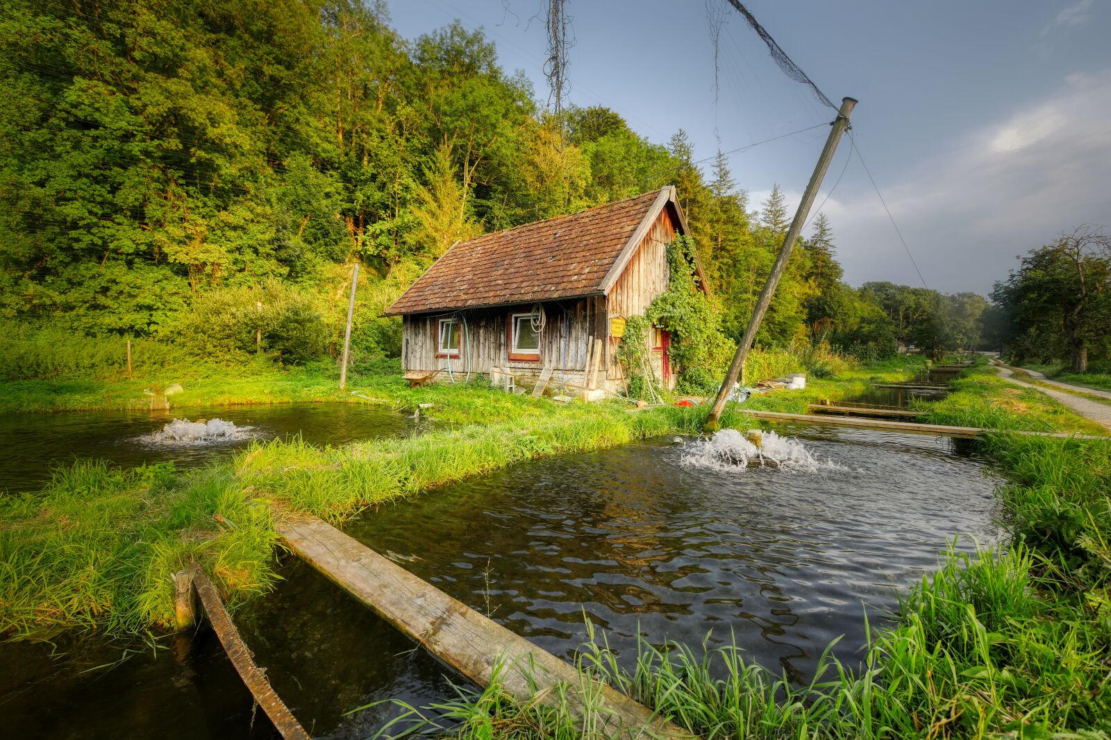 Panasonic Lumix DMC-GX8 sample photo. Fish farming, hut, trout photography