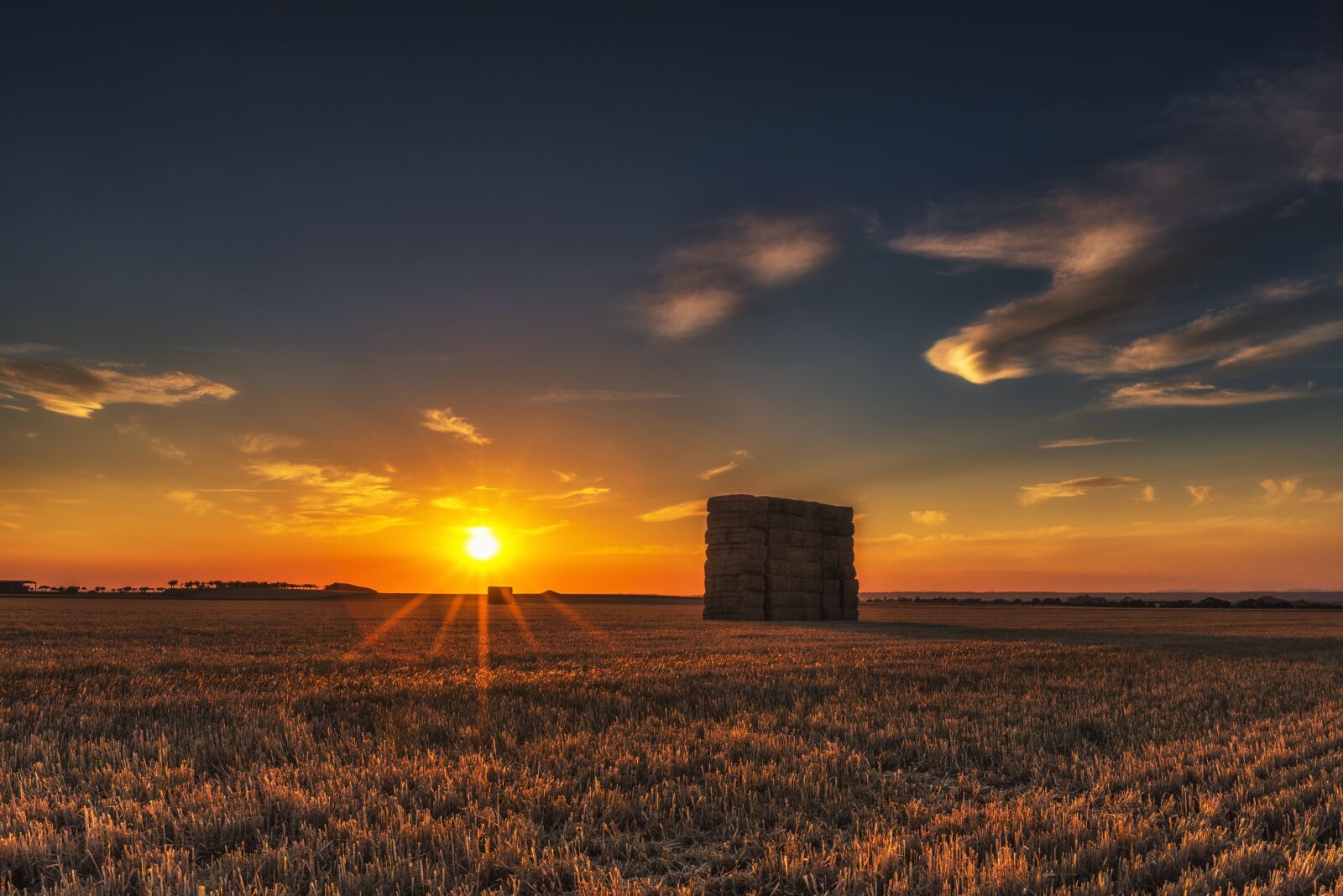 Nikon D750 sample photo. Field, agriculture, harvest photography