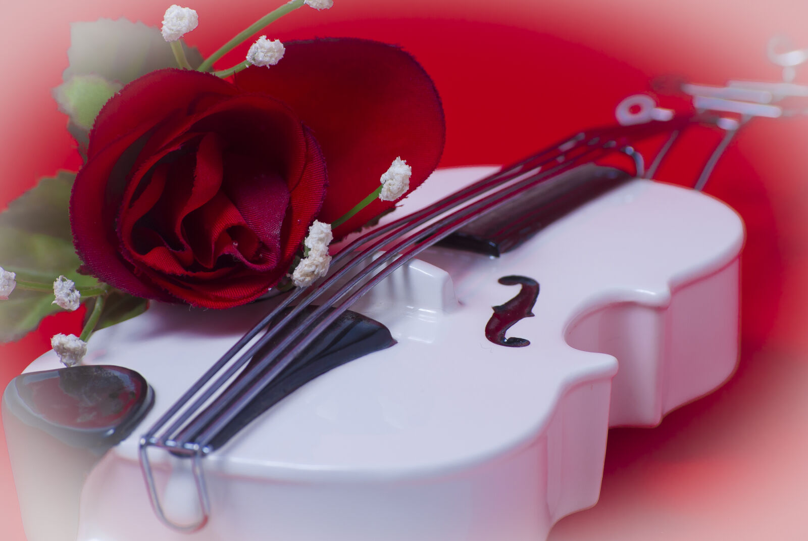 Nikon D200 sample photo. Violin photography