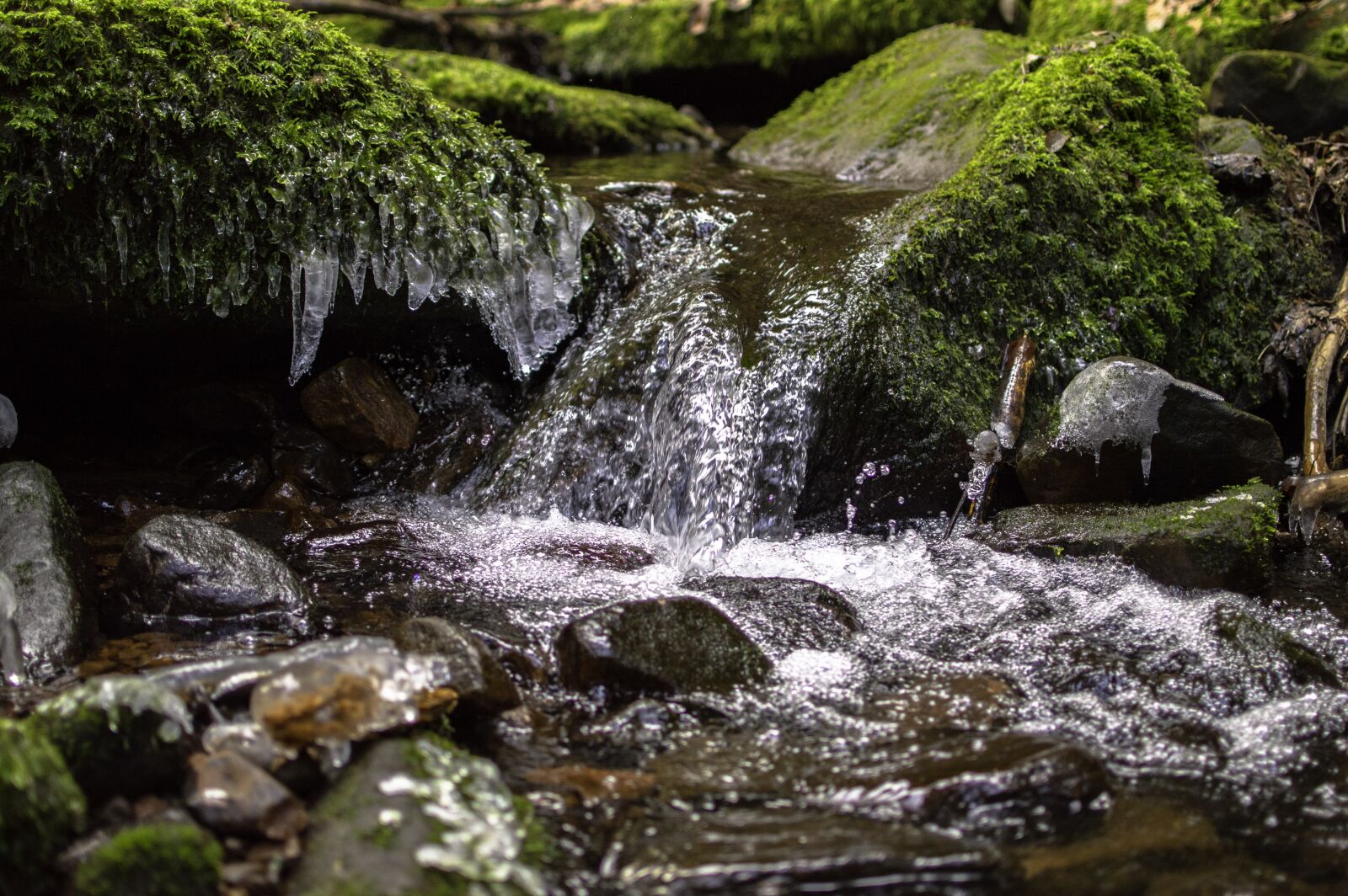 Nikon D3200 sample photo. Bach, nature, ice photography