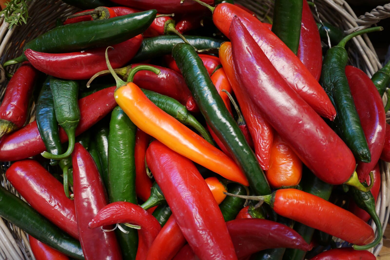 Panasonic Lumix DMC-GX7 sample photo. Food, chili, vegetables photography