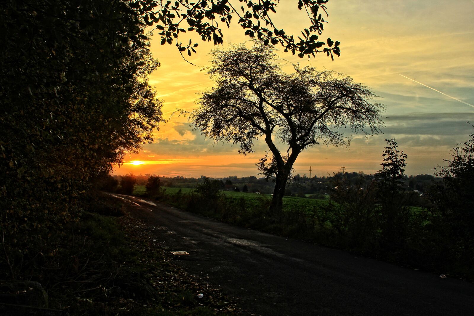 Canon EOS 1200D (EOS Rebel T5 / EOS Kiss X70 / EOS Hi) sample photo. Sunset, tree, field photography