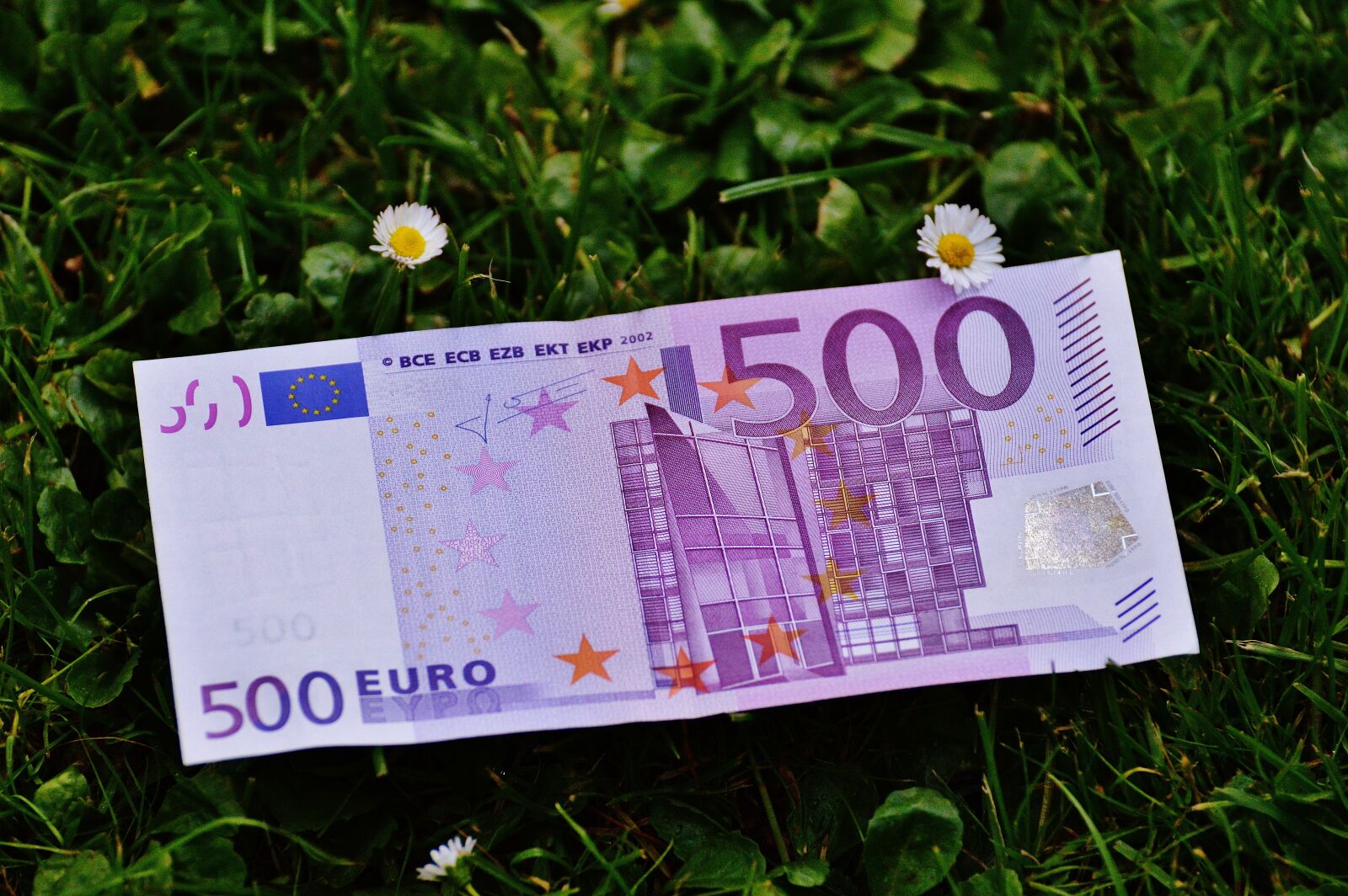 Nikon D3200 sample photo. Money, seem, euro bills photography