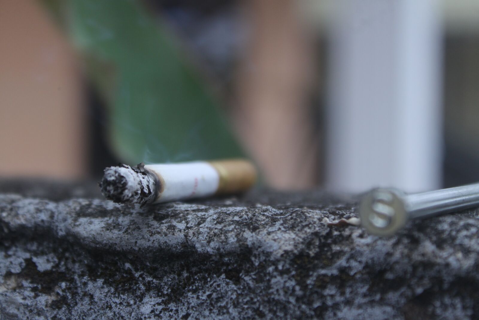Canon EOS 50D sample photo. Smoking, charm, smoke photography
