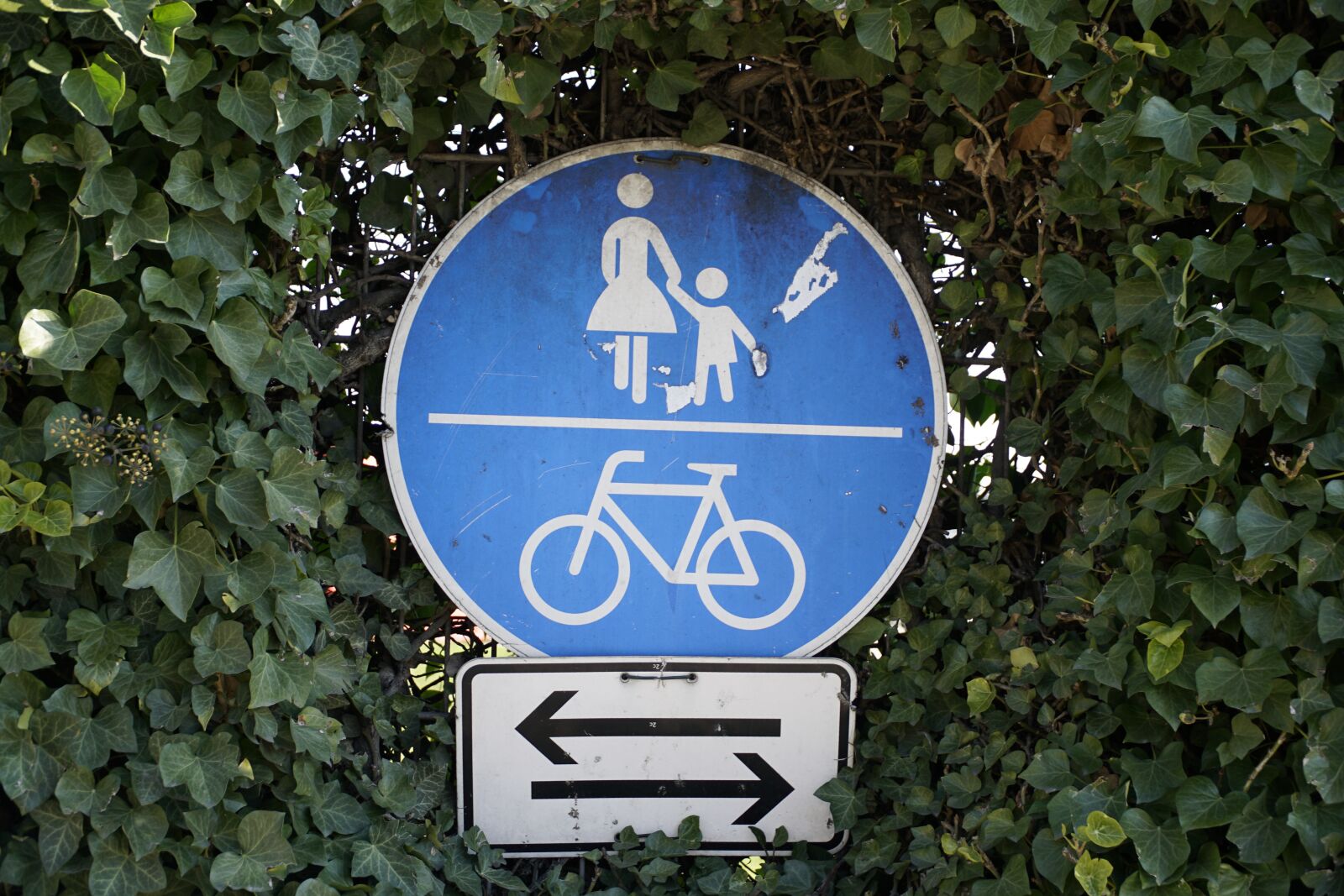 Sony a7R II + Sony E PZ 18-105mm F4 G OSS sample photo. Sign, pedestrian, traffic photography