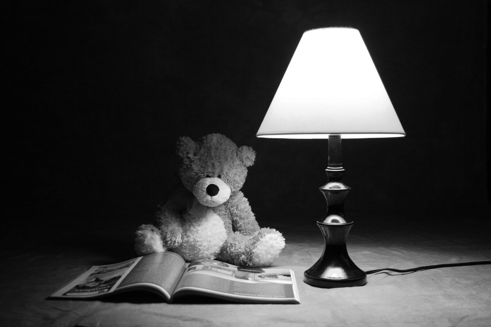Canon EOS 20D sample photo. Teddy bear, black and photography