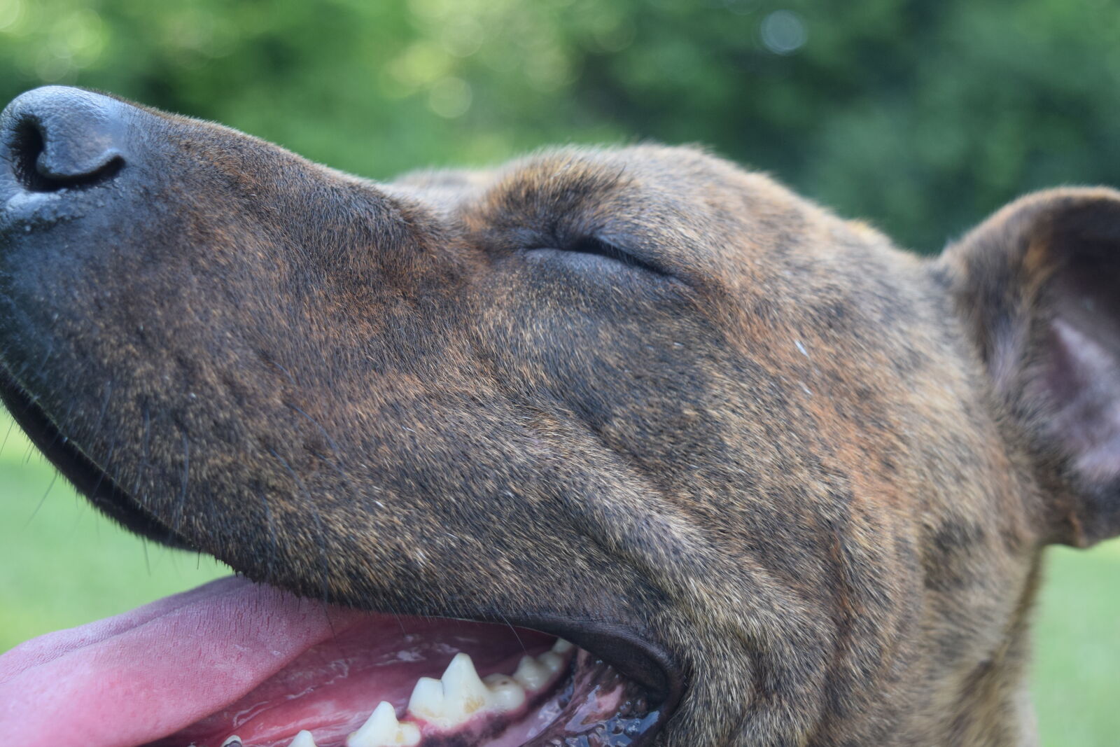 Nikon D3300 sample photo