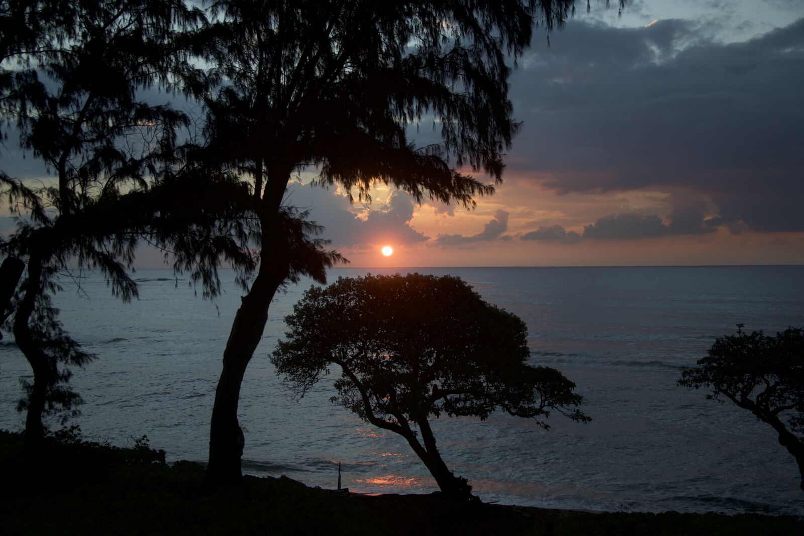 Nikon D600 sample photo. Sunrise, pacific, beach photography