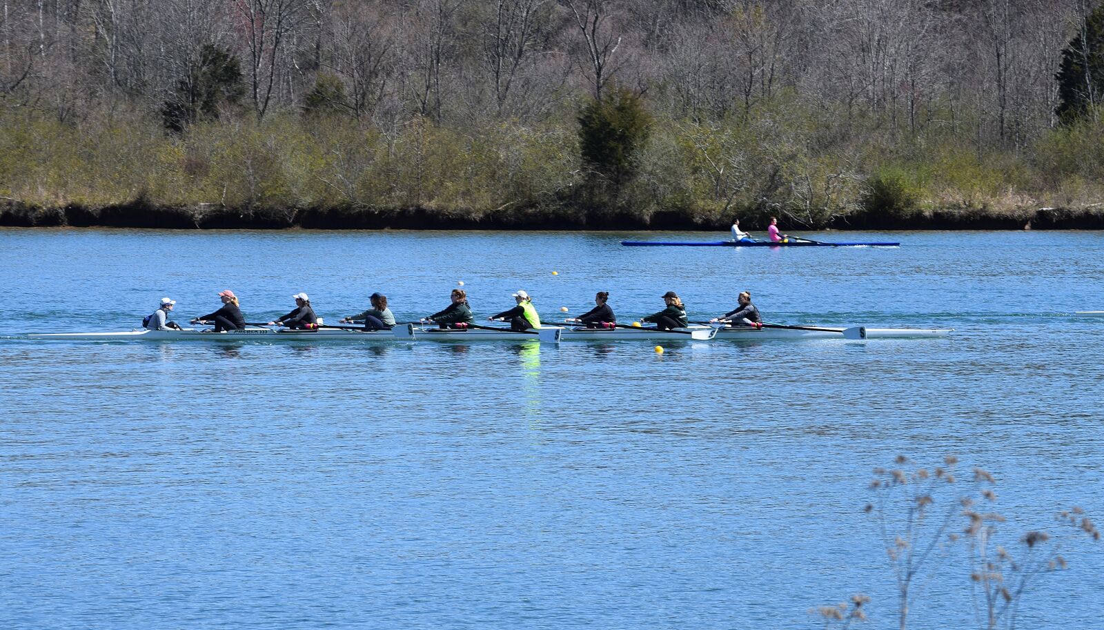 Nikon D3300 sample photo. Ladies scull rowing, scull photography